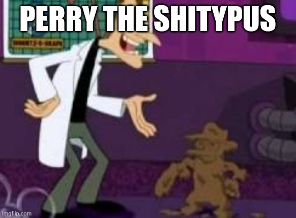 Perry the shitypus | PERRY THE SHITYPUS | image tagged in perry the shitypus | made w/ Imgflip meme maker