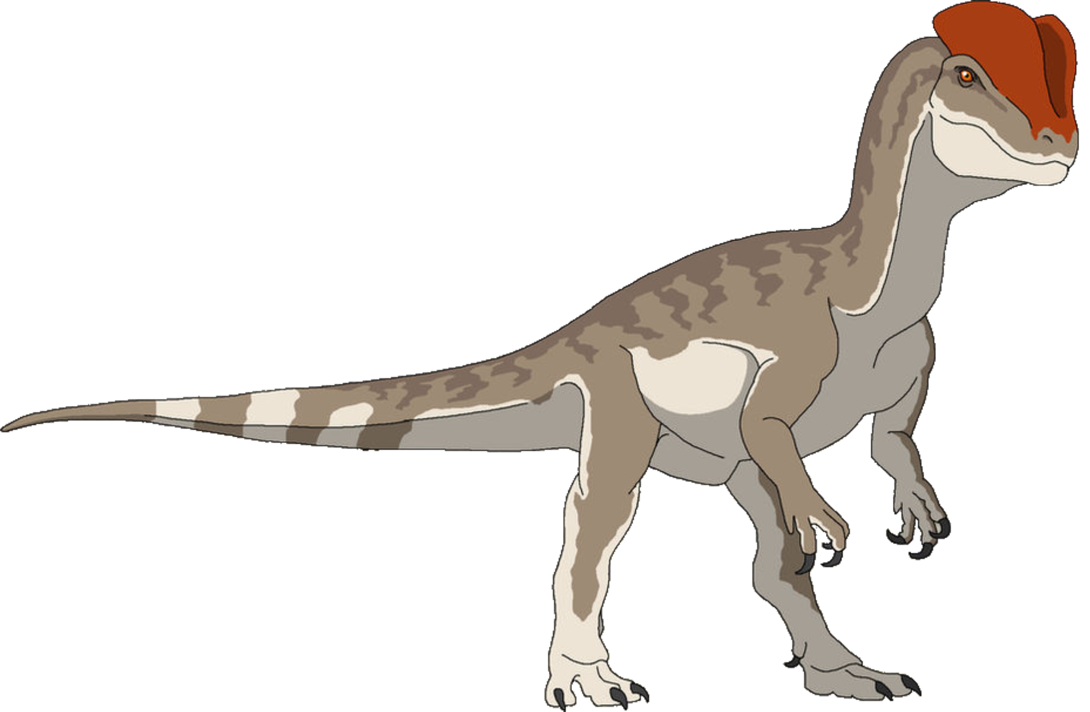 Dilophosaurus (Female) Blank Meme Template