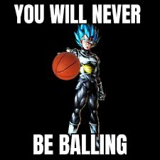 You will never be ballin | image tagged in you will never be ballin | made w/ Imgflip meme maker