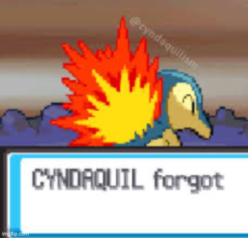 Cyndaquill Forgort | image tagged in cyndaquill forgort | made w/ Imgflip meme maker