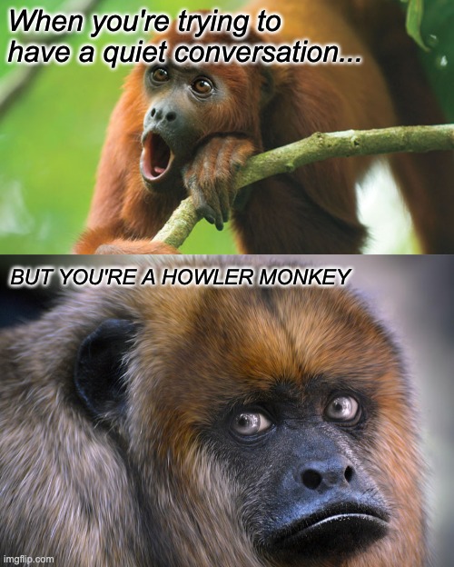When you're trying to have a quiet conversation... BUT YOU'RE A HOWLER MONKEY | image tagged in funny meme | made w/ Imgflip meme maker