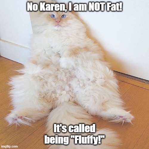 I Am Not Fat I Am Fluffy! | No Karen, I am NOT Fat! It's called being "Fluffy!" | image tagged in fat,fluffy,karen,funny animal | made w/ Imgflip meme maker