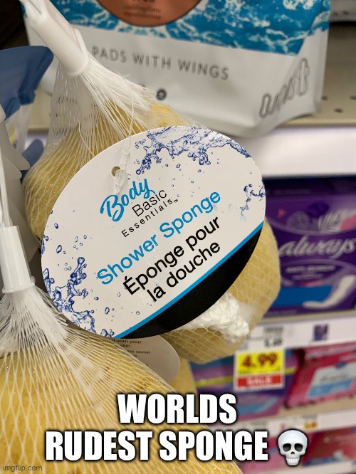 Spong | WORLDS RUDEST SPONGE 💀 | image tagged in spongebob,rude,skull | made w/ Imgflip meme maker