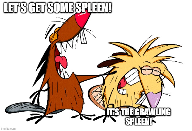 angry beavers | LET'S GET SOME SPLEEN! IT'S THE CRAWLING
SPLEEN! | image tagged in angry beavers | made w/ Imgflip meme maker
