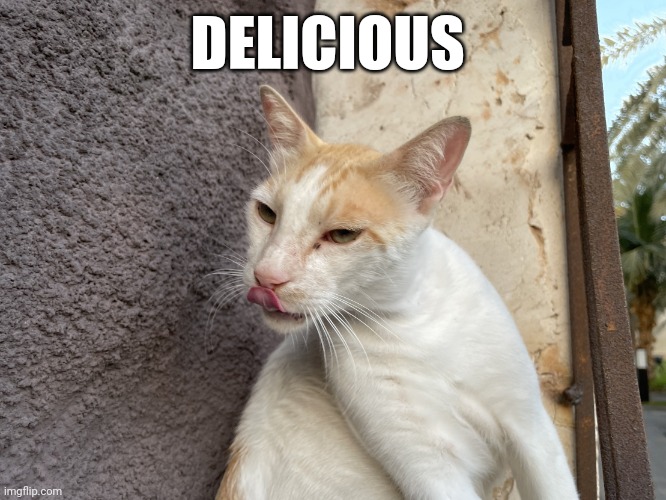 Delicious | DELICIOUS | image tagged in delicious | made w/ Imgflip meme maker