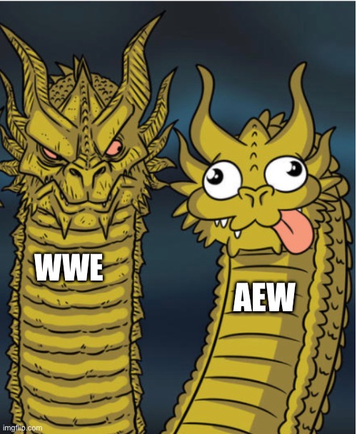 WWE vs AEW | WWE; AEW | image tagged in wwe,aew,wrestling,sports,two headed dragon | made w/ Imgflip meme maker