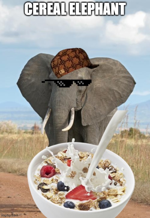 Elephant  | CEREAL ELEPHANT | image tagged in elephant | made w/ Imgflip meme maker