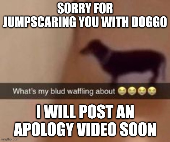 What's my blud waffling about | SORRY FOR JUMPSCARING YOU WITH DOGGO; I WILL POST AN APOLOGY VIDEO SOON | image tagged in what's my blud waffling about | made w/ Imgflip meme maker