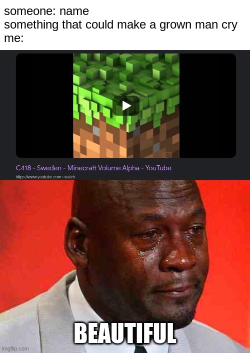 BTW I learned to play part of this on the Violin ಥ‿ಥ | someone: name something that could make a grown man cry
me:; BEAUTIFUL | image tagged in crying michael jordan,minecraft,sweden,relatable,funny | made w/ Imgflip meme maker
