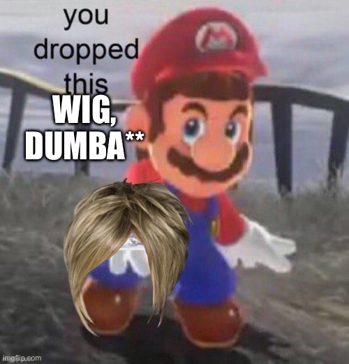 Mario Karen you dropped this | WIG, DUMBA** | image tagged in mario karen you dropped this | made w/ Imgflip meme maker