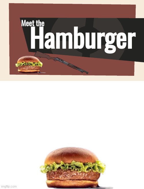 Meet the Hamburger | Meet the; Hamburger | image tagged in meet the blank,blank white template | made w/ Imgflip meme maker