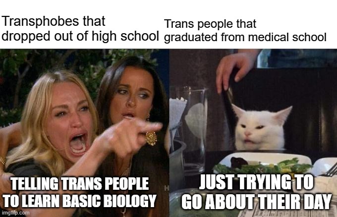 Woman Yelling At Cat | Transphobes that dropped out of high school; Trans people that graduated from medical school; JUST TRYING TO GO ABOUT THEIR DAY; TELLING TRANS PEOPLE TO LEARN BASIC BIOLOGY | image tagged in memes,woman yelling at cat | made w/ Imgflip meme maker