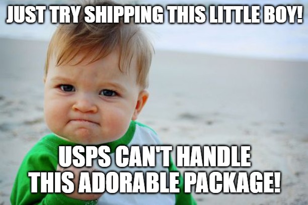 Success Kid Original Meme | JUST TRY SHIPPING THIS LITTLE BOY! USPS CAN'T HANDLE THIS ADORABLE PACKAGE! | image tagged in memes,success kid original | made w/ Imgflip meme maker