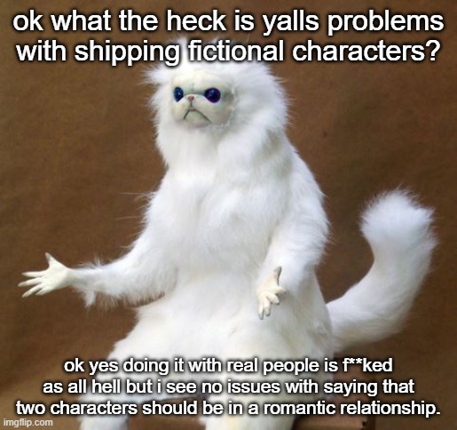 What the Heck Cat | ok what the heck is yalls problems with shipping fictional characters? ok yes doing it with real people is f**ked as all hell but i see no issues with saying that two characters should be in a romantic relationship. | image tagged in what the heck cat | made w/ Imgflip meme maker