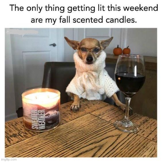 image tagged in memes,funny | made w/ Imgflip meme maker