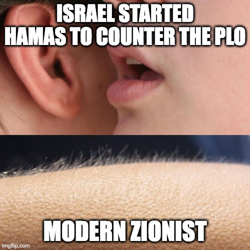 oops | ISRAEL STARTED HAMAS TO COUNTER THE PLO; MODERN ZIONIST | image tagged in whisper and goosebumps | made w/ Imgflip meme maker