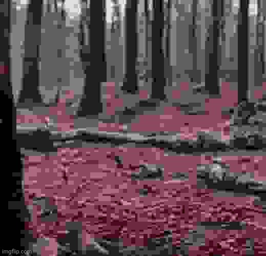 Ashes to ashes, dust to dust.| اتيناكم.. | made w/ Imgflip meme maker