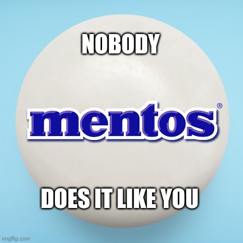 MENTOS | NOBODY DOES IT LIKE YOU | image tagged in mentos | made w/ Imgflip meme maker