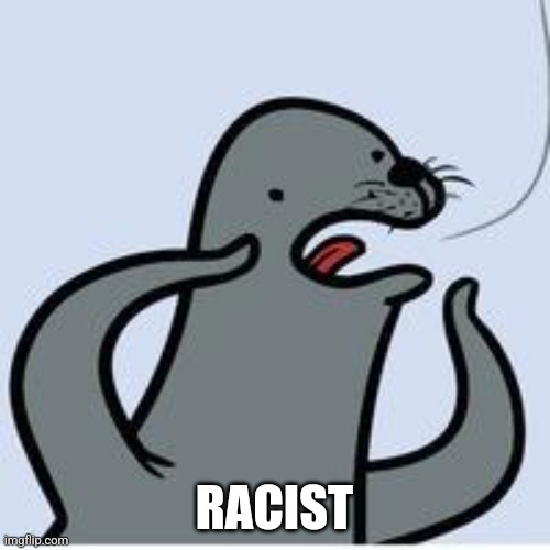 seal yelling racist | RACIST | image tagged in seal yelling racist | made w/ Imgflip meme maker
