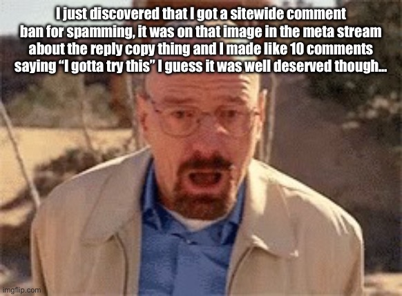 waltuh | I just discovered that I got a sitewide comment ban for spamming, it was on that image in the meta stream about the reply copy thing and I made like 10 comments saying “I gotta try this” I guess it was well deserved though… | image tagged in walter white | made w/ Imgflip meme maker