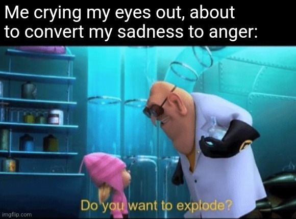 Do you want to explode? | Me crying my eyes out, about to convert my sadness to anger: | image tagged in do you want to explode | made w/ Imgflip meme maker