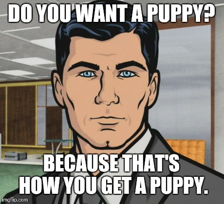 Archer Meme | DO YOU WANT A PUPPY? BECAUSE THAT'S HOW YOU GET A PUPPY. | image tagged in archer,AdviceAnimals | made w/ Imgflip meme maker
