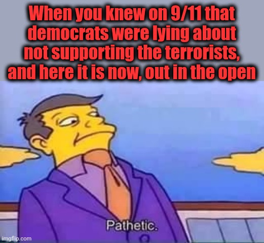 democrats should be ashamed | When you knew on 9/11 that democrats were lying about not supporting the terrorists, and here it is now, out in the open | image tagged in skinner pathetic,memes,democrats,terrorists,israel,antisemitism | made w/ Imgflip meme maker