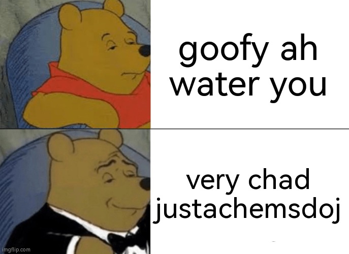 what-are-you lieks idiotz!!!!!! | goofy ah water you; very chad justachemsdoj | image tagged in memes,tuxedo winnie the pooh | made w/ Imgflip meme maker