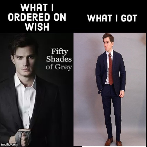 what I ordered on wish and what I got | image tagged in what i ordered on wish and what i got | made w/ Imgflip meme maker