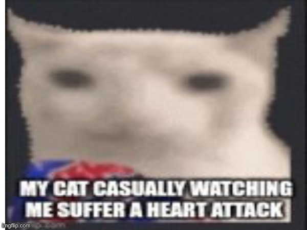 Ok I stole this from the front page | image tagged in cat eating popcorn | made w/ Imgflip meme maker