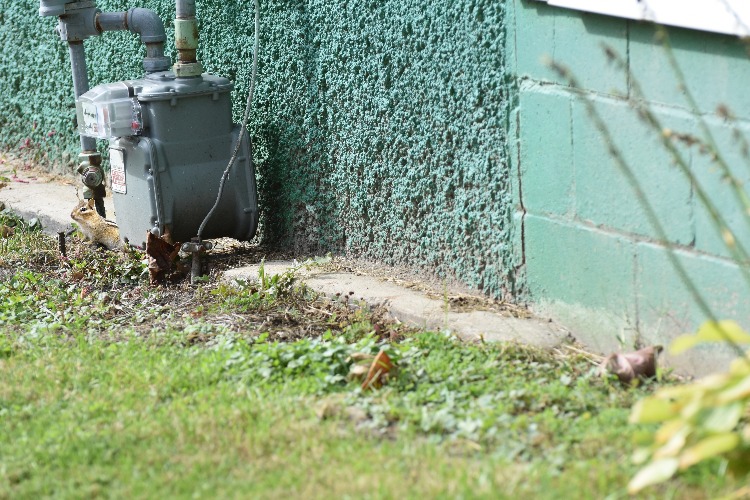 chipmunk behind the gas meter | made w/ Imgflip meme maker