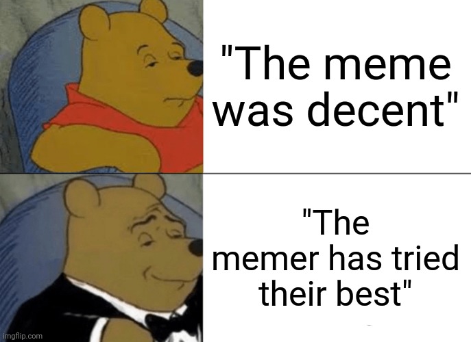 Second meme of the day | "The meme was decent"; "The memer has tried their best" | image tagged in memes,tuxedo winnie the pooh | made w/ Imgflip meme maker