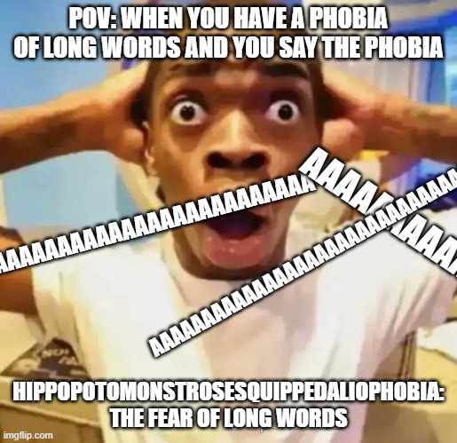 Bruh | POV: WHEN YOU HAVE A PHOBIA OF LONG WORDS AND YOU SAY THE PHOBIA; AAAAAAAAAAAAAAAAAAAAAAAAAAAAAAAAA; AAAAAAAAAAAAAAAAAAAAAAAAAAAAAAAAAAAAA; AAAAAAAAAAAAAAAAAAAAAA; HIPPOPOTOMONSTROSESQUIPPEDALIOPHOBIA: THE FEAR OF LONG WORDS | image tagged in shocked black guy | made w/ Imgflip meme maker