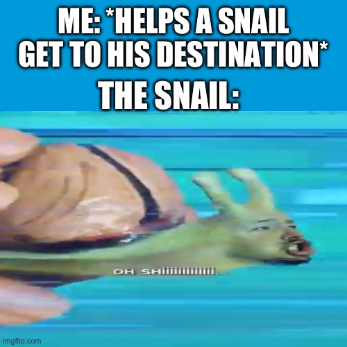 Snails probably feel like this | ME: *HELPS A SNAIL GET TO HIS DESTINATION*; THE SNAIL: | image tagged in snail | made w/ Imgflip meme maker