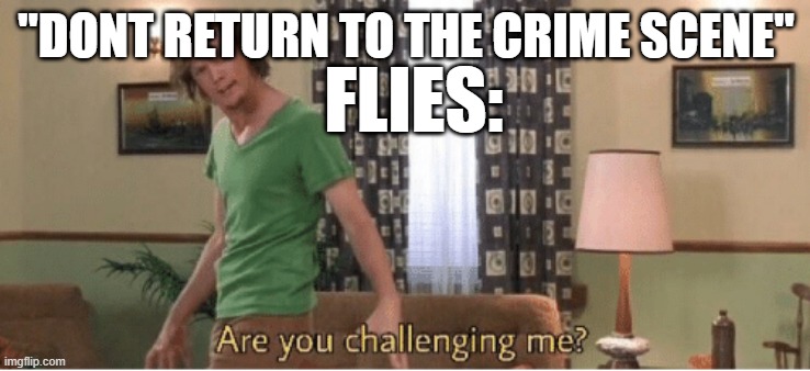buzz buzz | "DONT RETURN TO THE CRIME SCENE"; FLIES: | image tagged in are you challenging me | made w/ Imgflip meme maker