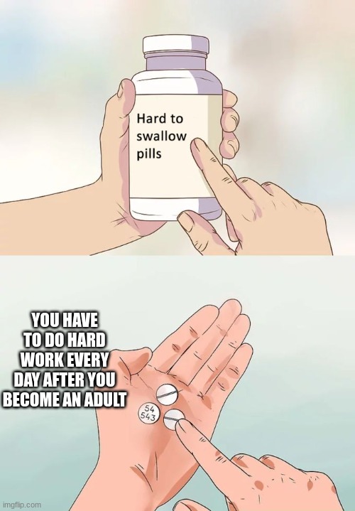 Hard To Swallow Pills | YOU HAVE TO DO HARD WORK EVERY DAY AFTER YOU BECOME AN ADULT | image tagged in memes,hard to swallow pills | made w/ Imgflip meme maker