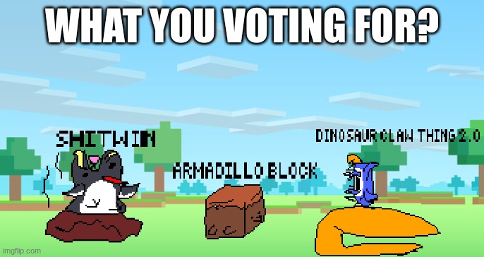 WHAT YOU VOTING FOR | WHAT YOU VOTING FOR? | image tagged in minecraft,vote,minecraft memes,ironic | made w/ Imgflip meme maker