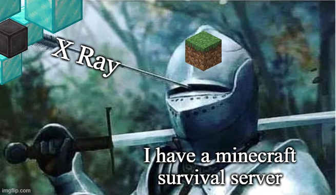 why I added 2 admin to my minecraft server | X Ray; I have a minecraft survival server | image tagged in knight with arrow in his eye,minecraft | made w/ Imgflip meme maker