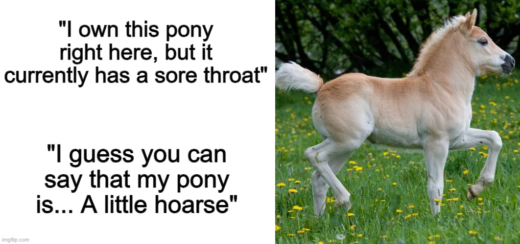 XD | "I own this pony right here, but it currently has a sore throat"; "I guess you can say that my pony is... A little hoarse" | image tagged in blank white template | made w/ Imgflip meme maker