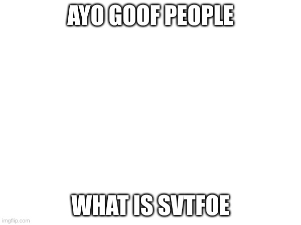 ive heard this thing alot from this stream | AYO GOOF PEOPLE; WHAT IS SVTFOE | image tagged in no tags | made w/ Imgflip meme maker