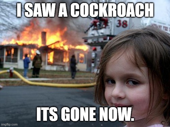 Disaster Girl Meme | I SAW A COCKROACH; ITS GONE NOW. | image tagged in memes,disaster girl | made w/ Imgflip meme maker