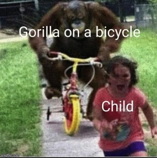 I know it's not a gorilla, no I don't care | made w/ Imgflip meme maker