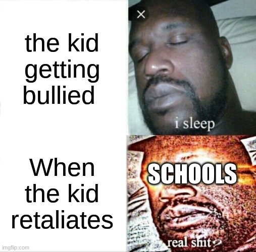 Sleeping Shaq | the kid getting bullied; When the kid retaliates; SCHOOLS | image tagged in memes,sleeping shaq | made w/ Imgflip meme maker