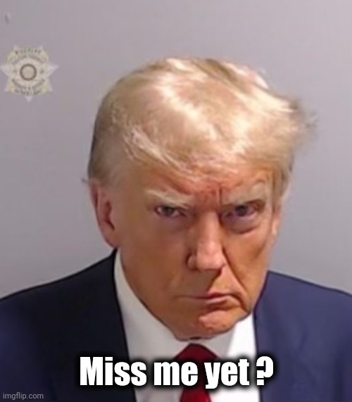 Donald Trump Mugshot | Miss me yet ? | image tagged in donald trump mugshot | made w/ Imgflip meme maker