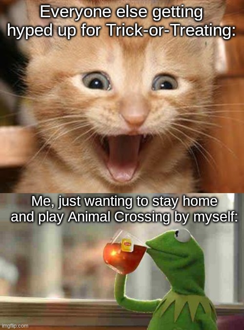 This'll be the first year I've opted out. | Everyone else getting hyped up for Trick-or-Treating:; Me, just wanting to stay home and play Animal Crossing by myself: | image tagged in memes,excited cat,kermit sipping tea,animal crossing,halloween,spooky month | made w/ Imgflip meme maker