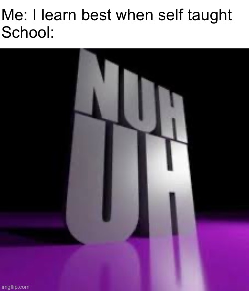 Nuh uh | Me: I learn best when self taught
School: | image tagged in nuh uh,school | made w/ Imgflip meme maker