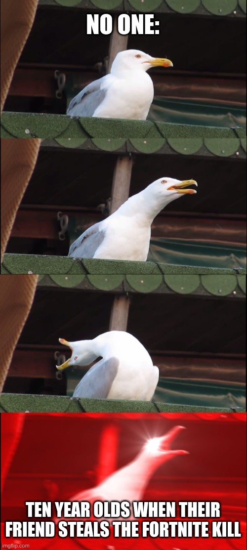 STOP | NO ONE:; TEN YEAR OLDS WHEN THEIR FRIEND STEALS THE FORTNITE KILL | image tagged in memes,inhaling seagull | made w/ Imgflip meme maker