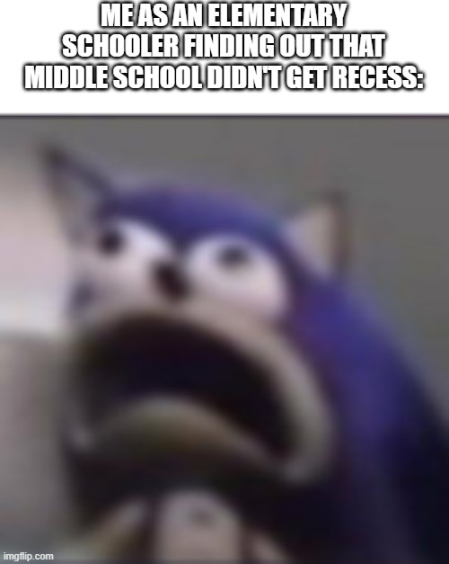 The pain... | ME AS AN ELEMENTARY SCHOOLER FINDING OUT THAT MIDDLE SCHOOL DIDN'T GET RECESS: | image tagged in distress | made w/ Imgflip meme maker