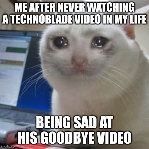 Crying cat | ME AFTER NEVER WATCHING A TECHNOBLADE VIDEO IN MY LIFE; BEING SAD AT HIS GOODBYE VIDEO | image tagged in crying cat | made w/ Imgflip meme maker