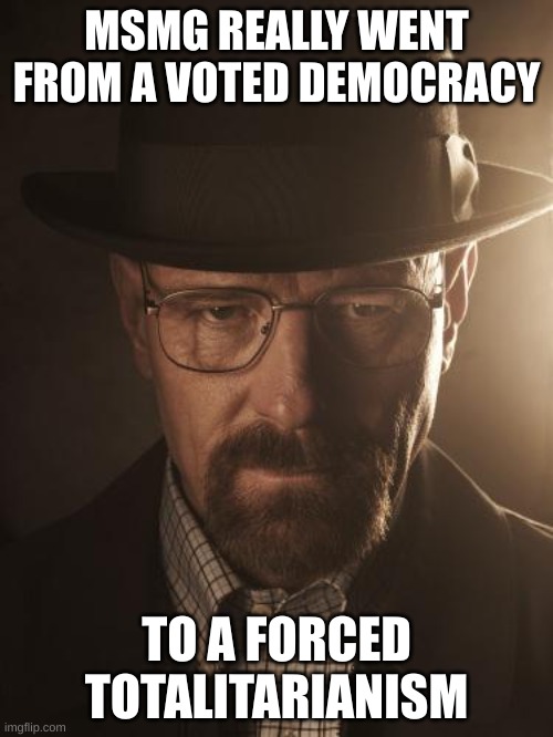 Walter White | MSMG REALLY WENT FROM A VOTED DEMOCRACY; TO A FORCED TOTALITARIANISM | image tagged in walter white | made w/ Imgflip meme maker